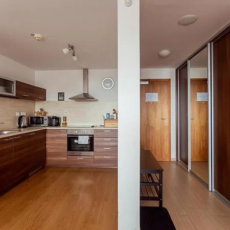 In-out * 도노발리